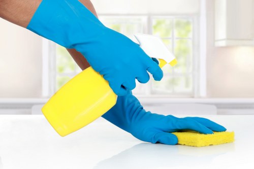 Detailed cleaning service being performed