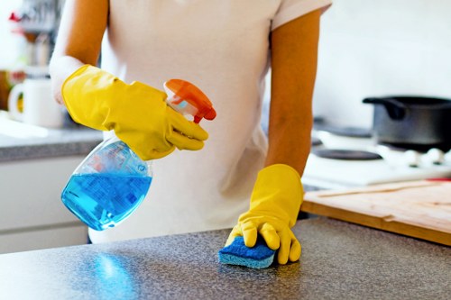 Professional cleaning team working on a patio