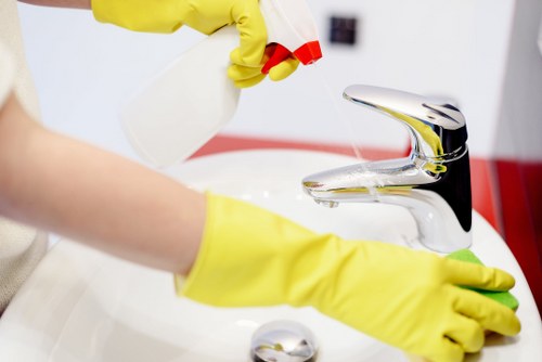 Eco-friendly rug cleaning solutions