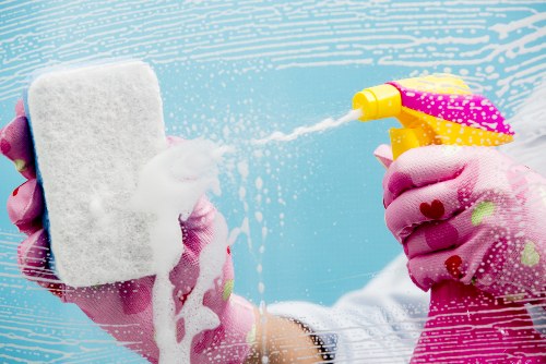 Detailed deep cleaning process by Aldwych Cleaners