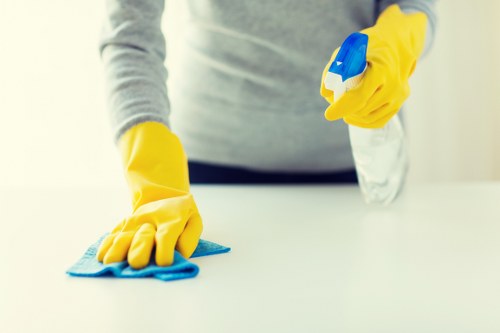 Professional deep cleaning equipment and eco-friendly products