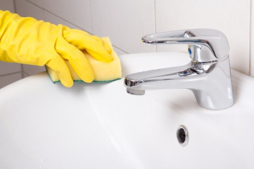 Window cleaning process with eco-friendly products