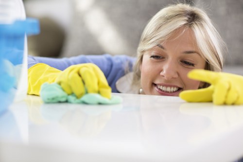 Professional cleaners working in a modern kitchen