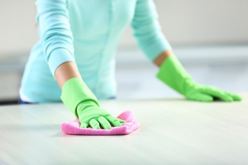 Technician preparing for oven cleaning service