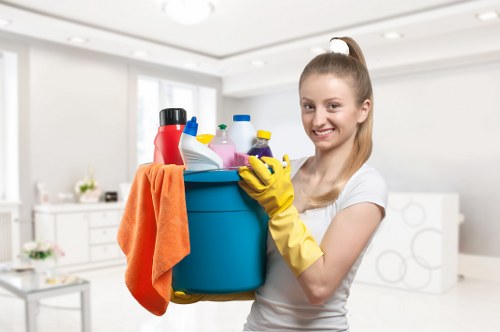 Eco-friendly oven cleaning products in use